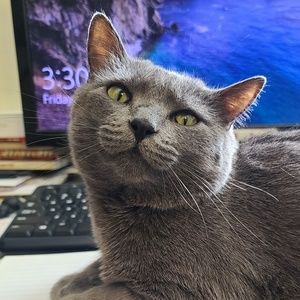 Meet your Posher, Dani